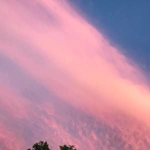 Meet your Posher, Tabitha